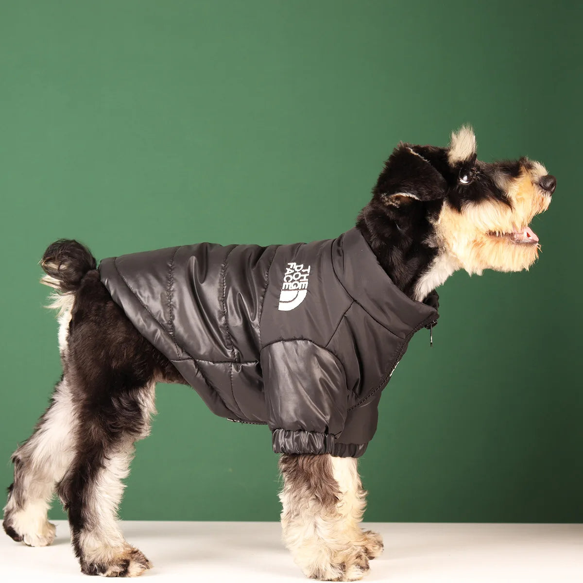 Tidy Tails Winter Puffer Coat