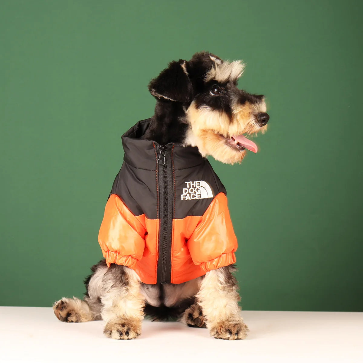 Tidy Tails Winter Puffer Coat